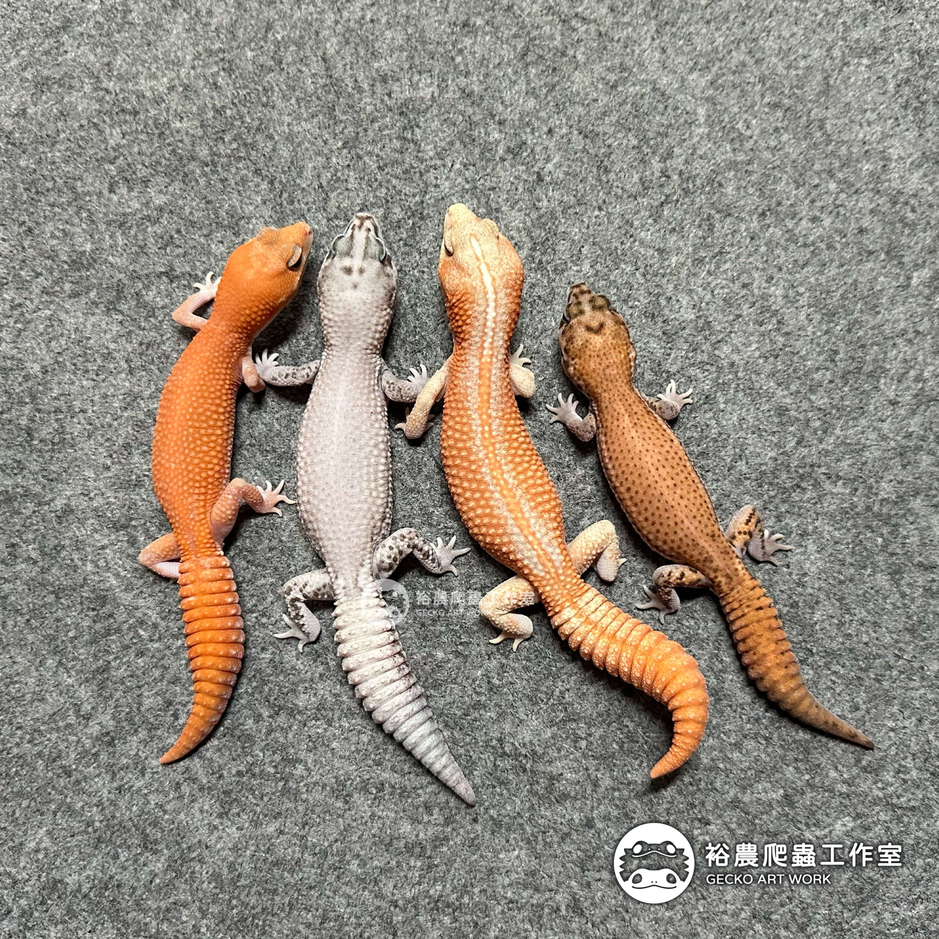 裕農爬蟲工作室